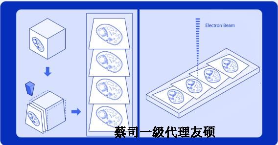 毕节蔡司毕节扫描电镜