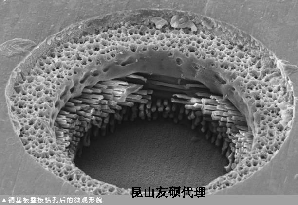 毕节蔡司毕节扫描电镜